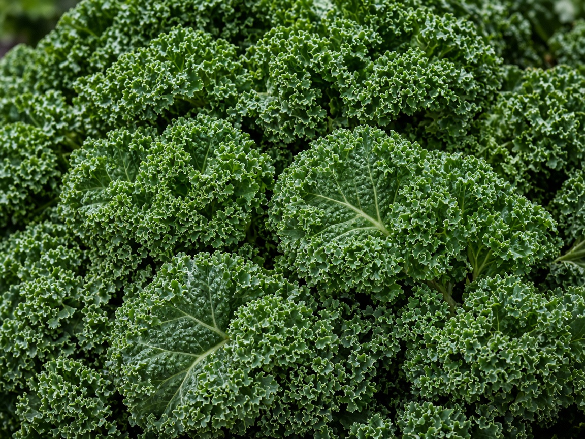 Kale