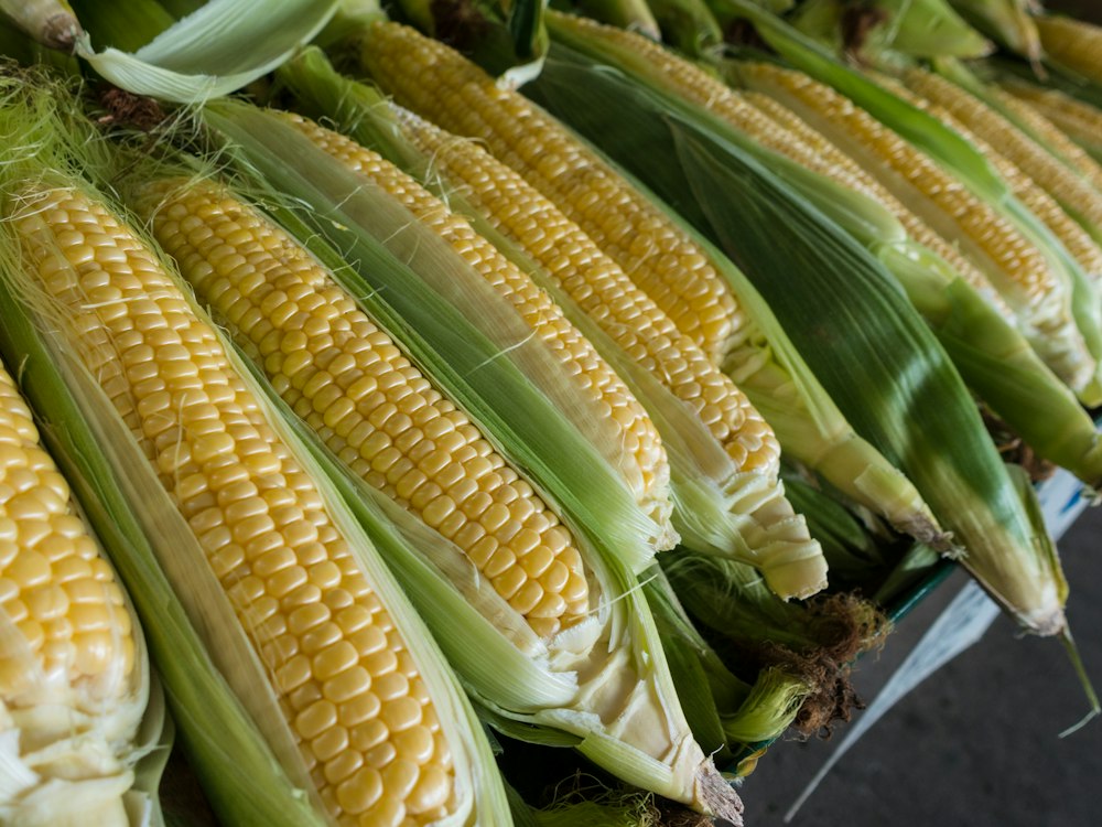 Sweetcorn